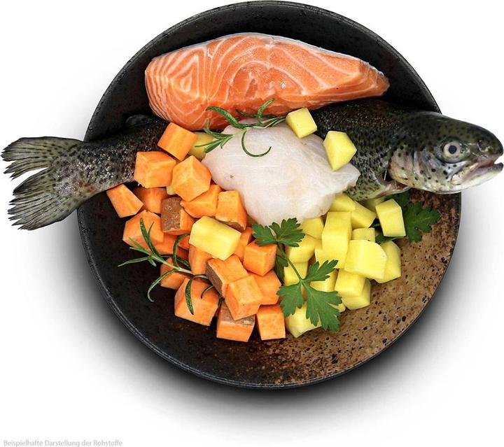 Produktbild Sollis Fisch Leckerei 100g (Adult, 1 Stk., 100 g)