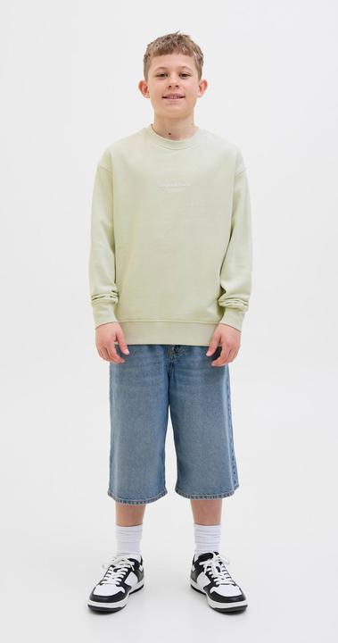 Immagine prodotto Jack & Jones Gedruckt Sweatshirt Junior Sweatshirt (140)