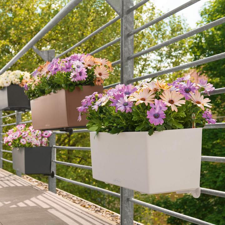 Actual product image Lechuza Balconera Color (19 cm)