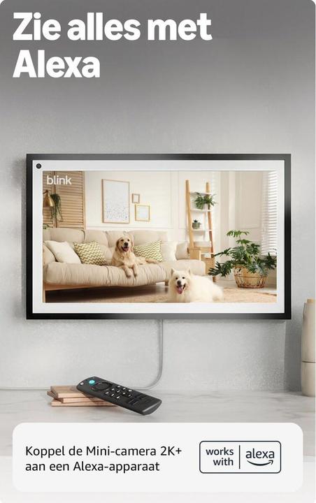 Produktbild Ring Blink Mini 2K - - EU (1280 x 720 Pixels, 1920 x 1080 Pixels, 2560 x 1440 Pixels)