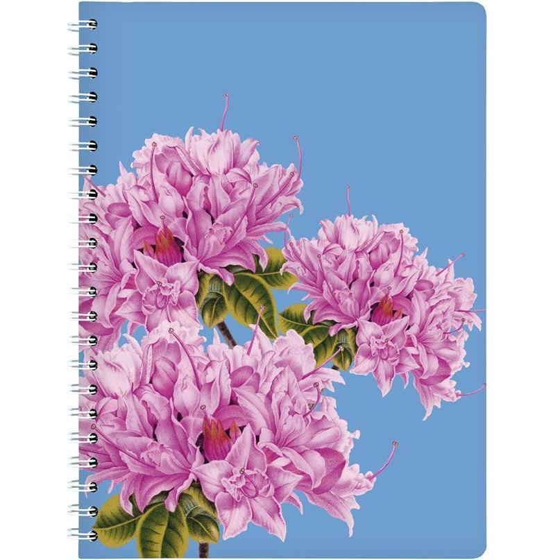 Cedon, Ordner, Ringbuch A4 AZALEE (A4, 1 x)