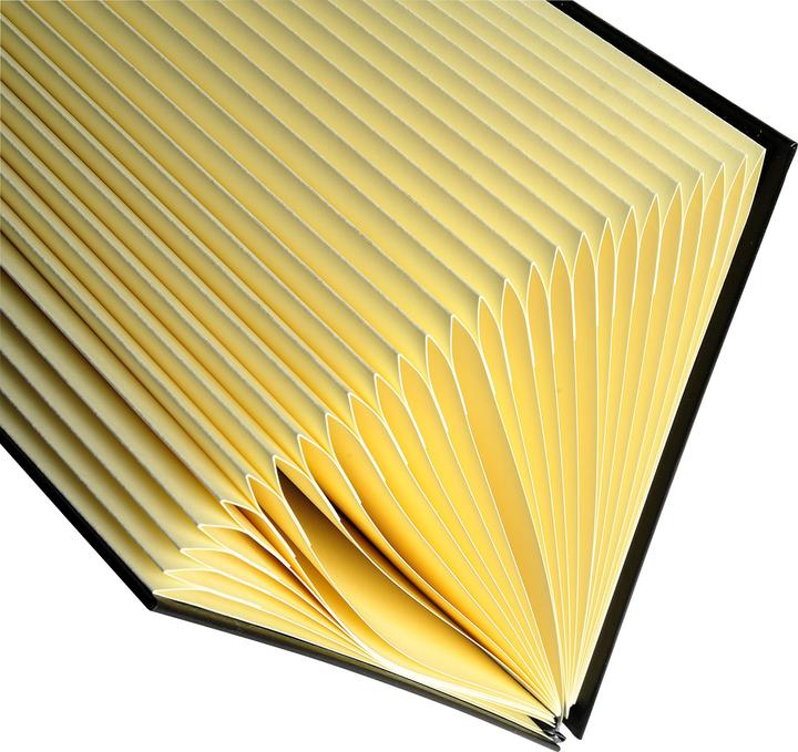 Actual product image Exacompta Folders with pleated spine (A4, 64x)