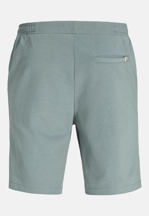 Produktbild Jack & Jones Shorts NEILAND Chino-Shorts (M)