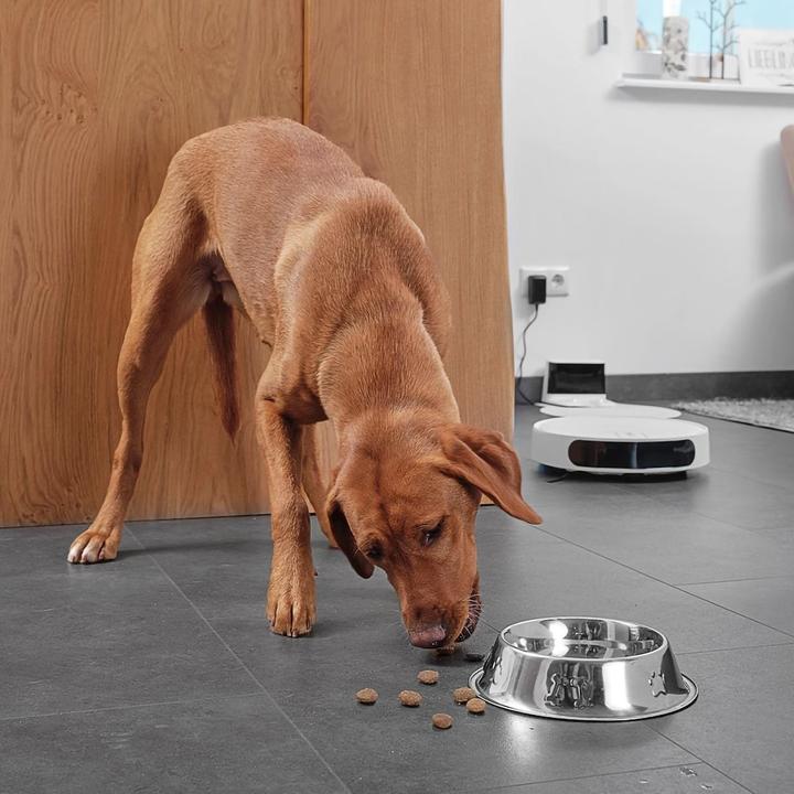 Produktbild Romy L6 Animal (5200 Pa)