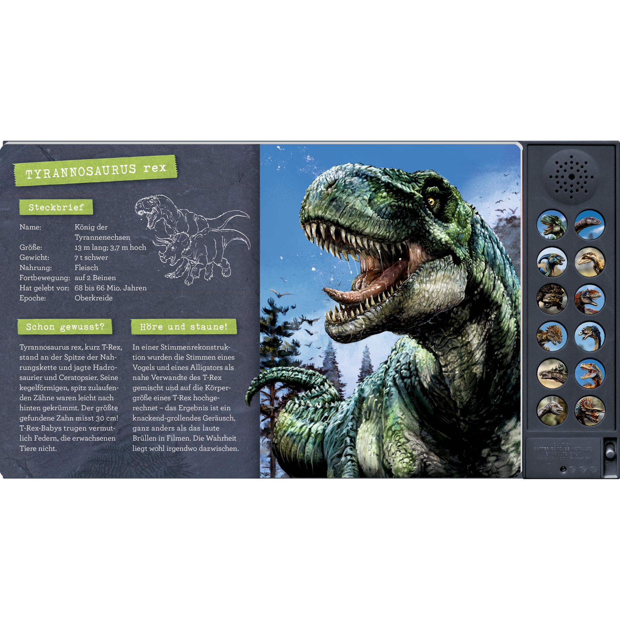 Thumbnail - Das grosse Dinosaurier-Soundbuch, Kinderbücher von Barbara Wernsing, Leonie Schwermann, Marcus Knollmann, Raimund Frey