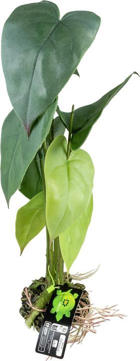 Produktbild Terra della Monstera