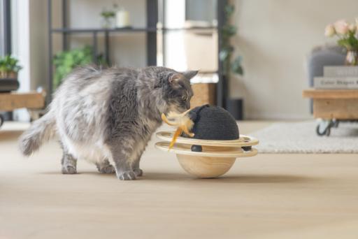 Produktbild Designed by Lotte Holz Spielball (Kratzspielzeug Katze)