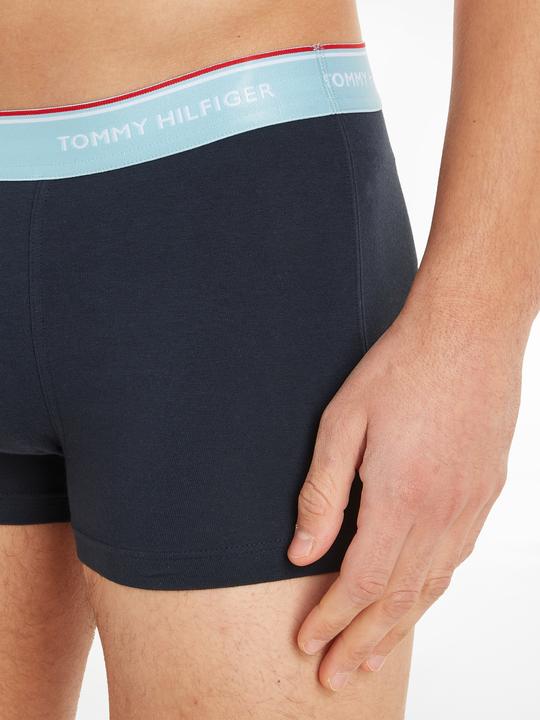 Image du produit Tommy Hilfiger Trunk WB (L)