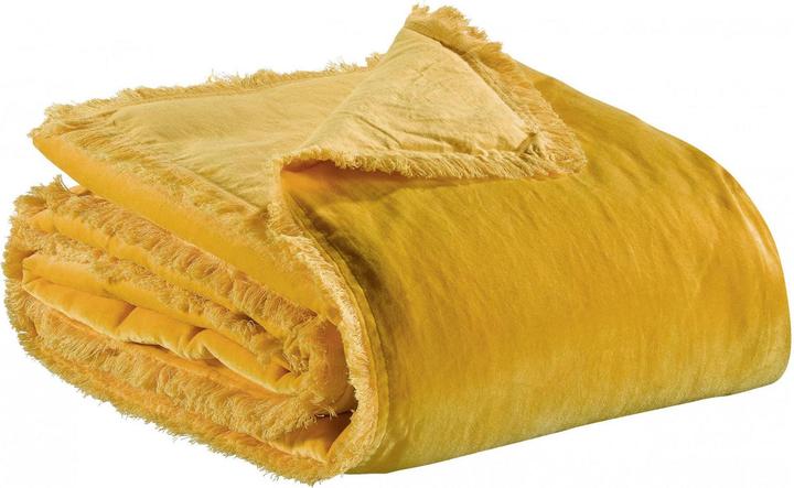 Curry