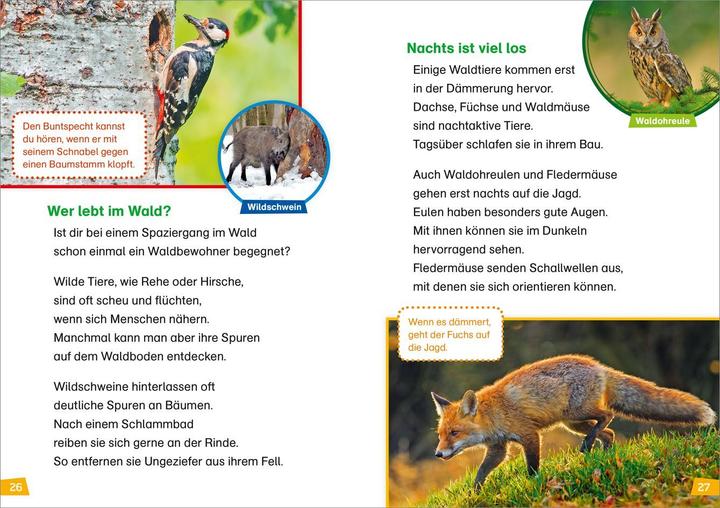 Produktbild Tessloff WAS IST WAS Erstes Lesen, Band 4: Natur entdecken und schützen (Deutsch, Christina Braun, 2018)
