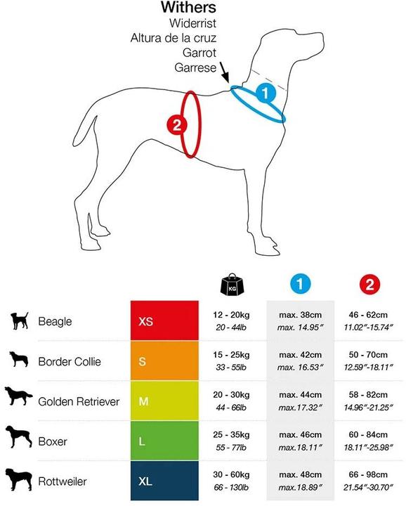 Produktbild Curli Geschirr Magnetic Belka Comfort (XS, Hund, Allgemein)
