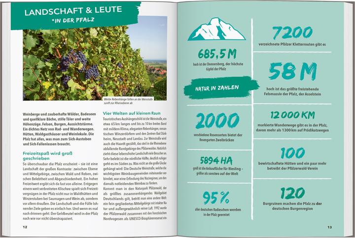 Immagine prodotto OUTDOOR GUIDE Reiseführer Pfalz (Tedesco, Thomas Diehl, 2024)