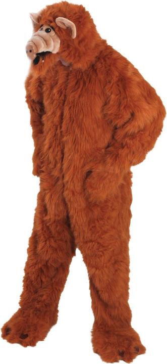 Actual product image Chaks Alf (L, XL)