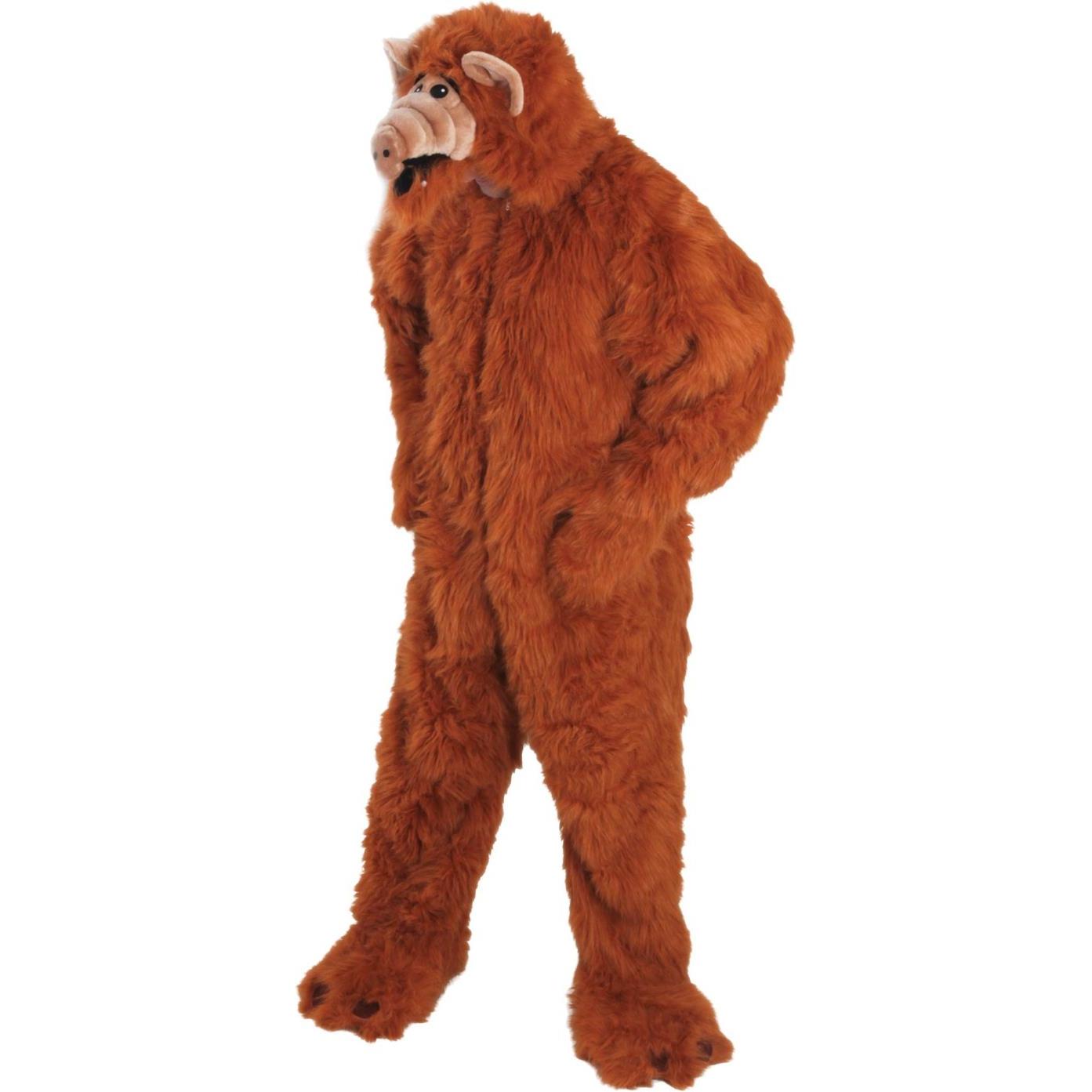 Thumbnail - Chaks Alf (L, XL)
