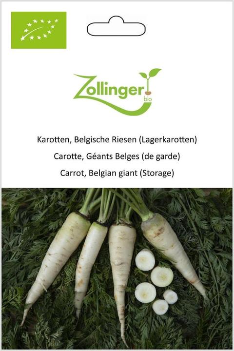 Produktbild Zollinger Bio Karotten, Belgische Riesen (Lagerkarotten) (Gemüsesamen)
