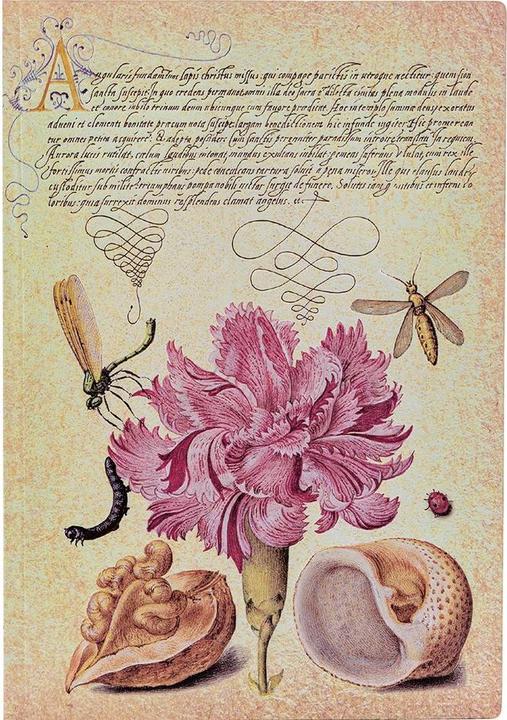 Image du produit Paperblanks Carnet de notes FB Midi Rose Oeillet unlin. (Blanc, Couverture souple)