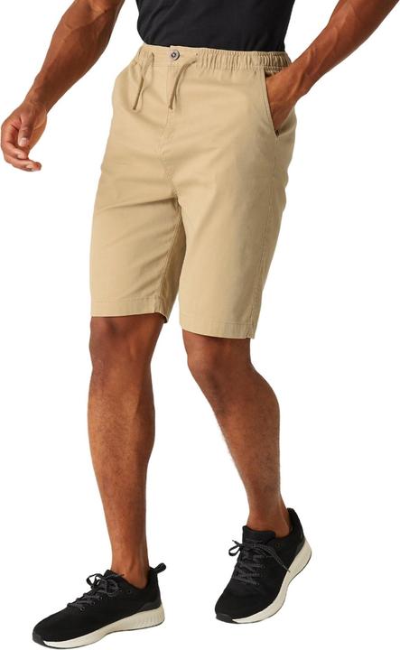 Actual product image Regatta Mens Aldan Chino Shorts (32)