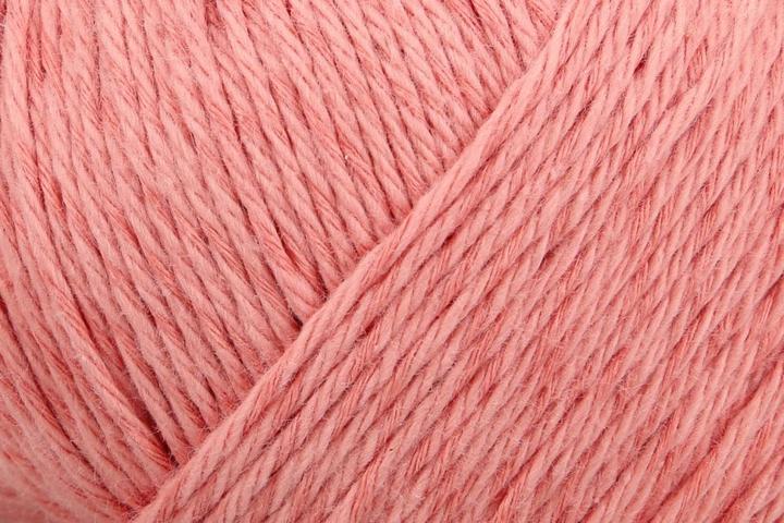 00016 rose