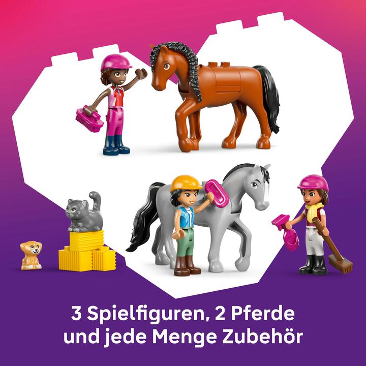 Actual product image LEGO Pferdestall und Reitschule (LEGO Friends)