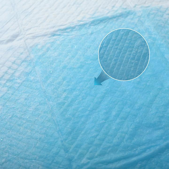 Actual product image Ultra Clean Training pads 540 pieces for dogs, puppy pad, 60 x 90 cm (Dog)