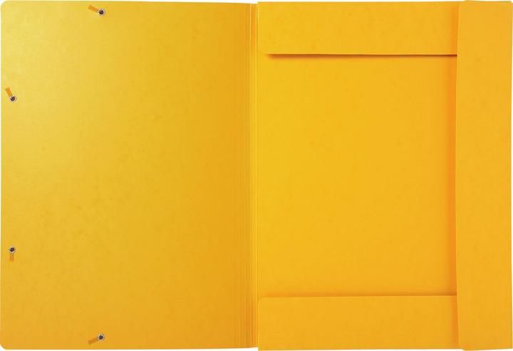 Actual product image Exacompta Folder (A3, 1 x)