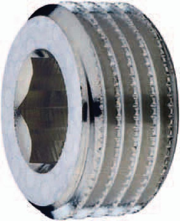 Actual product image BRW Hexagon socket plug screw Cylindrical