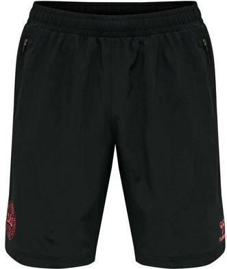hummel Shorts – Dänemark (M)