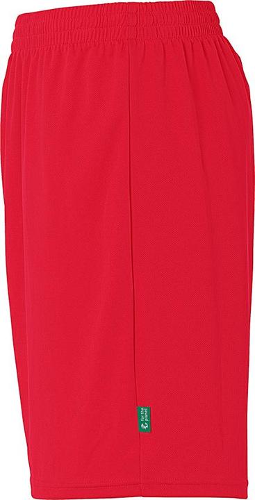 Actual product image Kempa Team Shorts (140)
