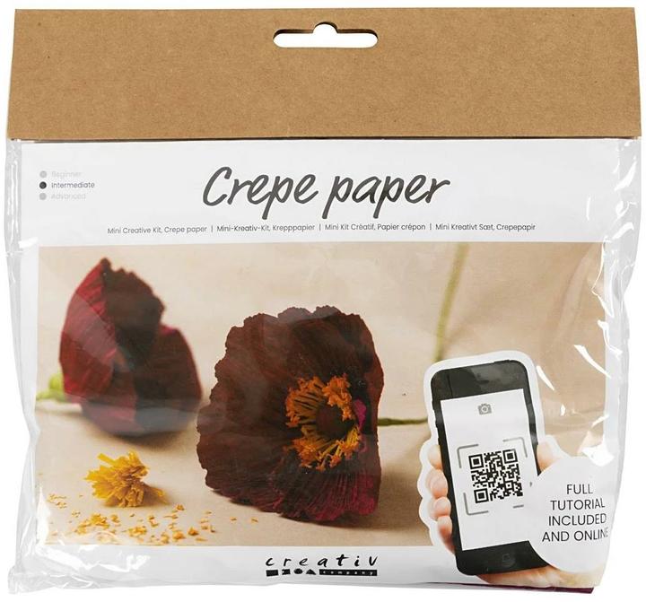 Creativ Company Mini kit de bricolage papier crépon (105 g/m², 1 x)