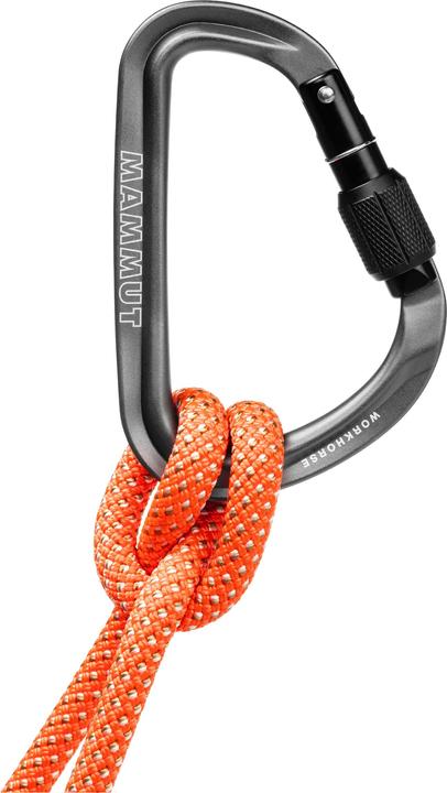 Image du produit Mammut Workhorse Screwgate