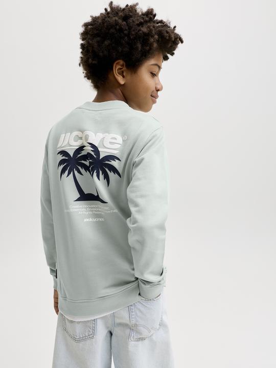 Produktbild Jack & Jones Junior Pullover CLUB SUMMER Sweatshirt (152)