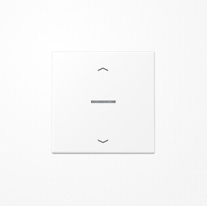 Actual product image JUNG BTLS17101PWWM HOME push button