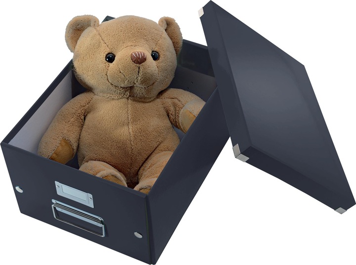 Image du produit Leitz Boîte de stockage WOW Click & Store (A4)