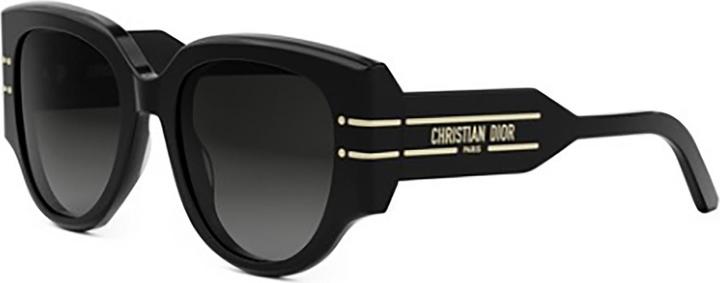 Dior Diorsignature R2i