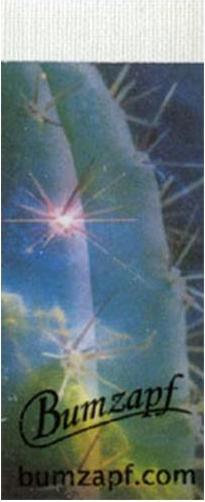 Actual product image Bumzapf Filter paper Spacecactus not perforated