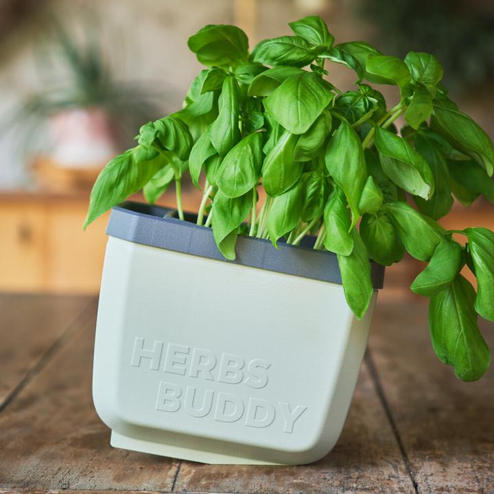 Actual product image Gusta Garden Herbs Buddy (16 x 14 x 13 cm)