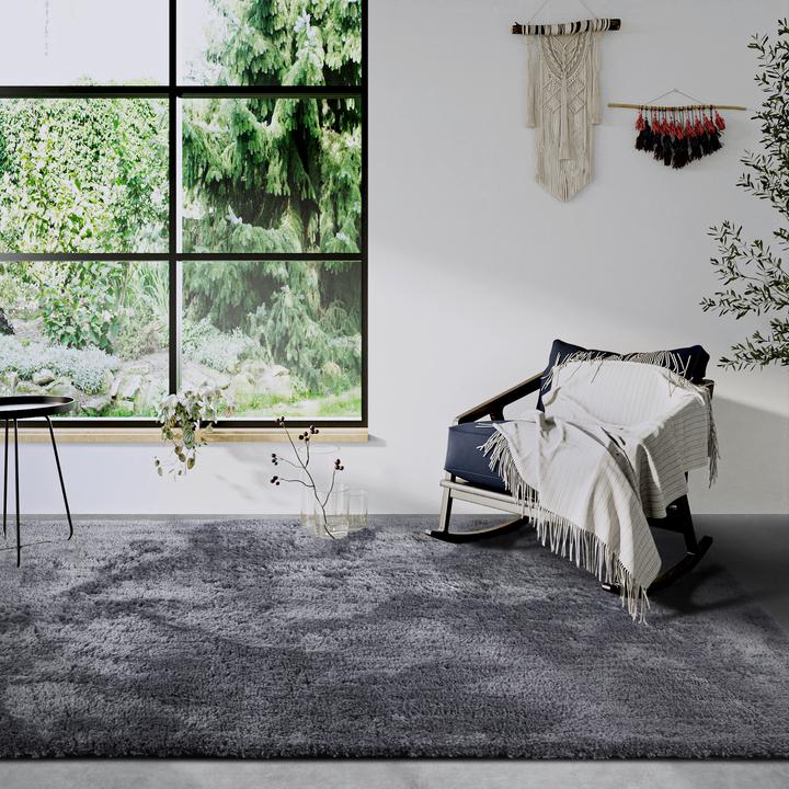 Produktbild Hanse Home Olaf (290 x 200 cm)