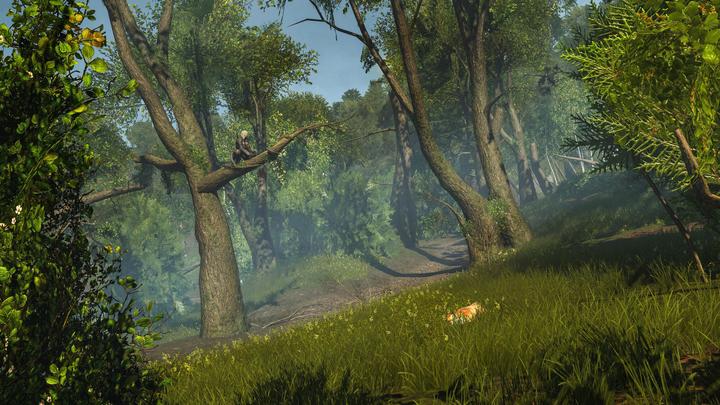 Image du produit Ubisoft Assassin's Creed : Rogue Remastered (PS4, EN)