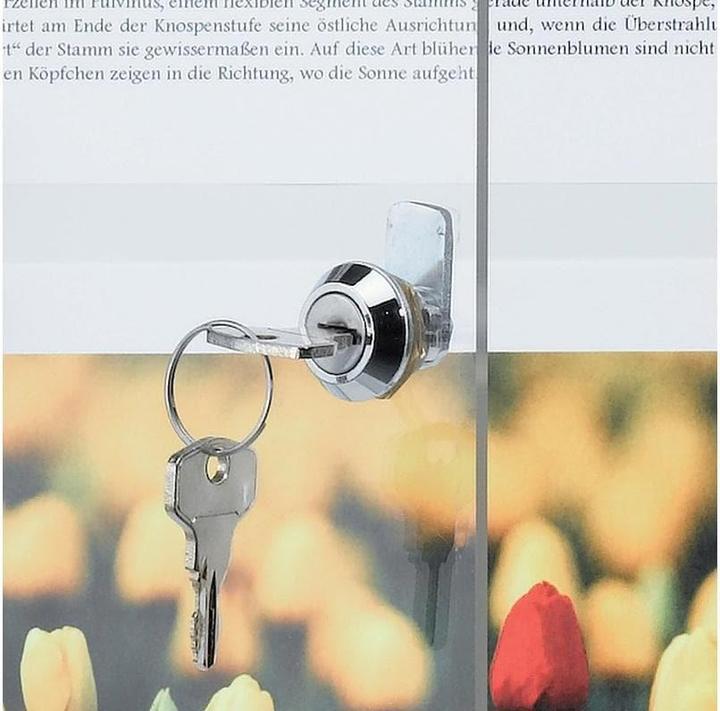 Immagine prodotto Franken Vetrina x-tra!Line 2 x DIN A4 interna magnetica e asciutta