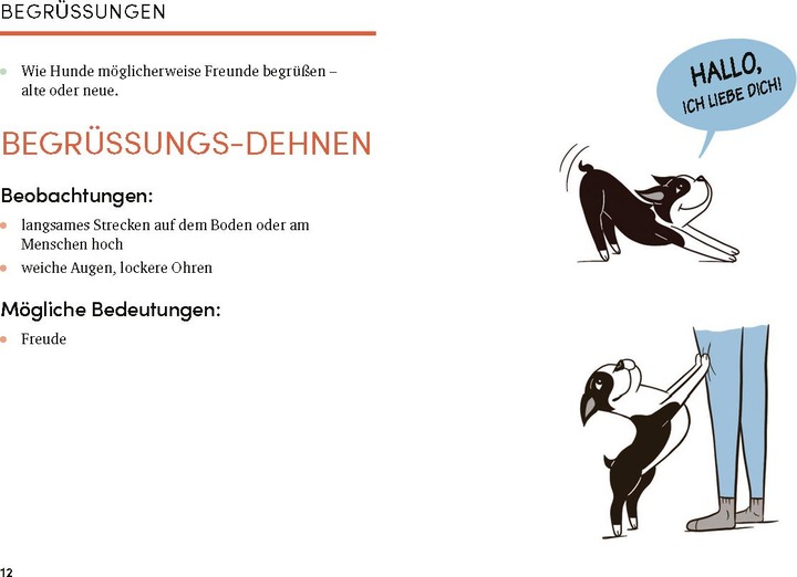 Produktbild Das kleine Buch der Hundesprache (Deutsch, Lili Chin, 2022)