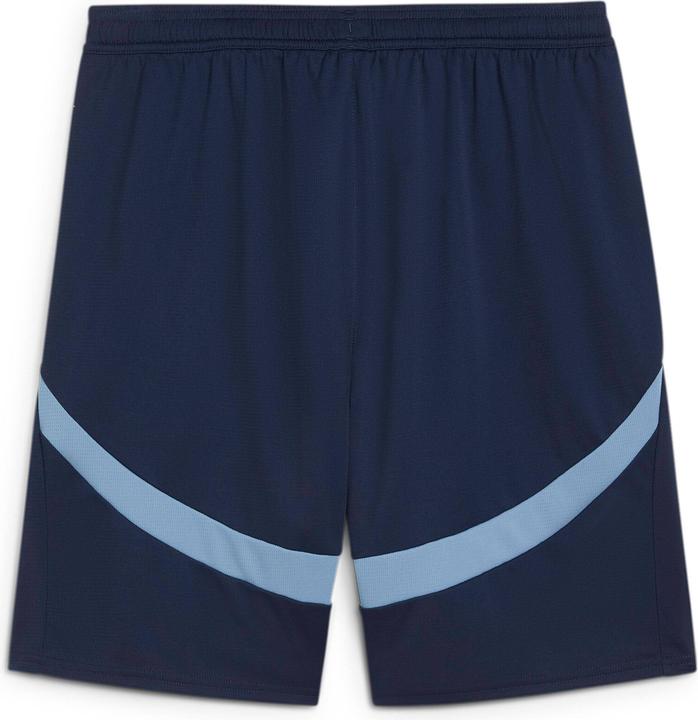Actual product image Puma RBS Shorts Replica (L)
