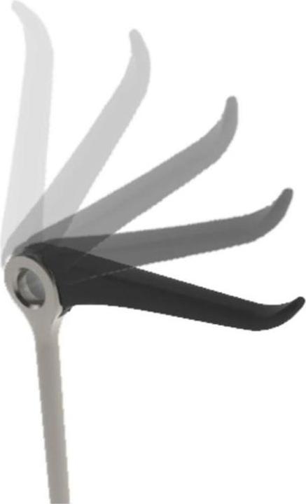 Umbra Tucan
