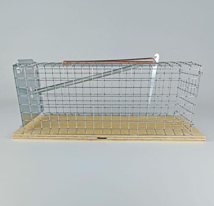 Produktbild Swissinno Lebendfalle Rat Classic 1 St.