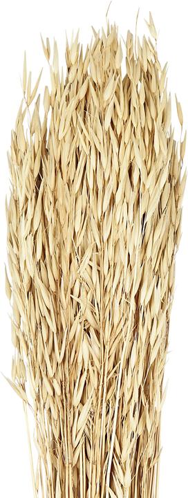 Immagine prodotto EGLO Guipos (90 cm)