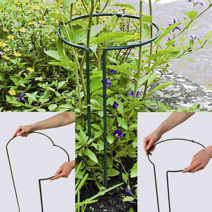 Image du produit Siena Garden Strauchstütze (550 cm, 240 cm)