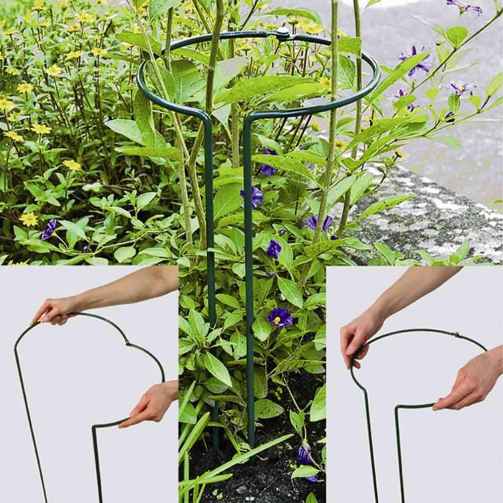 Siena Garden, Pflanzen Zubehör, Strauchstütze (55 cm, 240 cm)