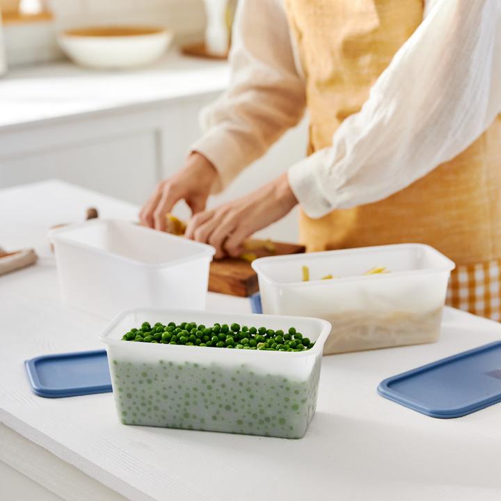 Actual product image Rotho Domino (1.50 l)