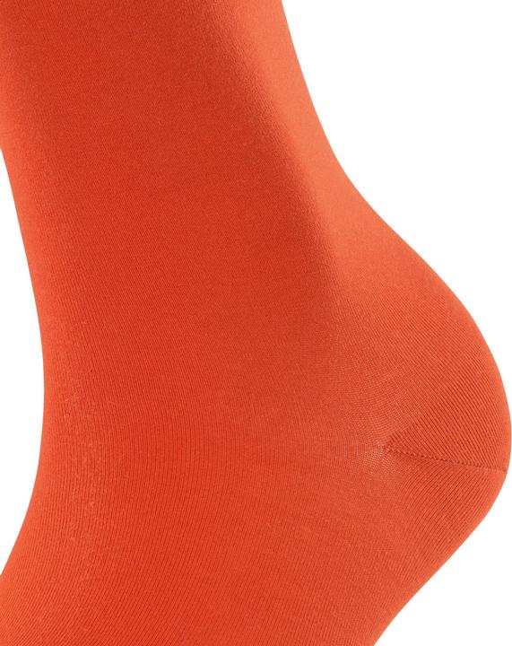 Produktbild Falke Cotton Touch SO (Einzelpack, 35 - 38)