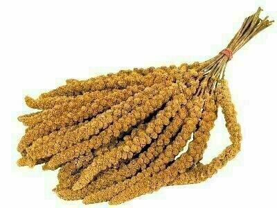 Versele Laga Miglio coda di volpe (0.30 kg)