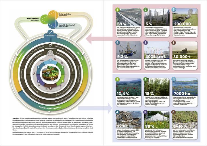 Produktbild Faktencheck Artenvielfalt (Deutsch, 2024)